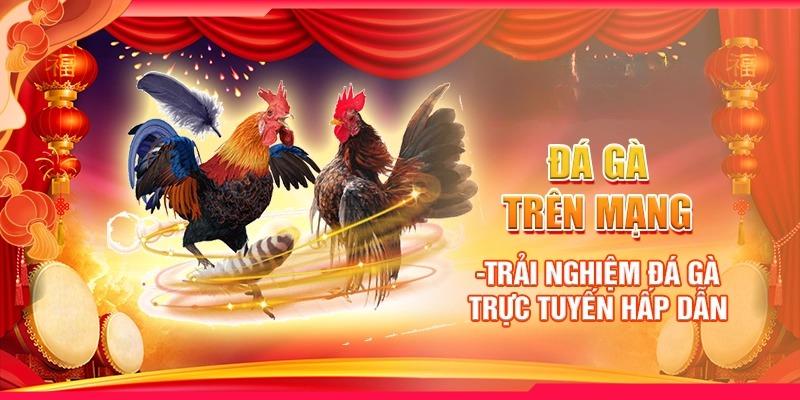 Gioi Thieu Ve Da Ga Truc Tuyen Hi88