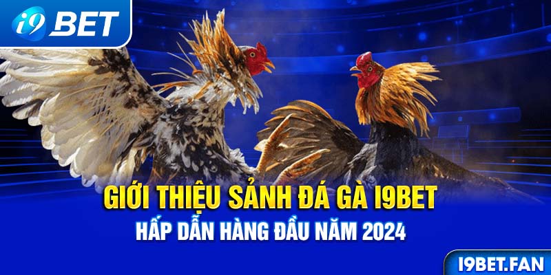 Giới thiệu sảnh đá gà I9BET hấp dẫn hàng đầu năm 2024