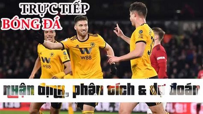 Xem kết quả bóng đá kèo nhà cái nhanh nhất – Về bờ cùng chuyên gia