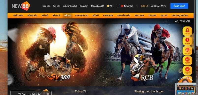 Đá gà có tại New88 Đá gà có tại New88