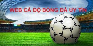 Web cá độ bóng đá uy tín rất đa dạng