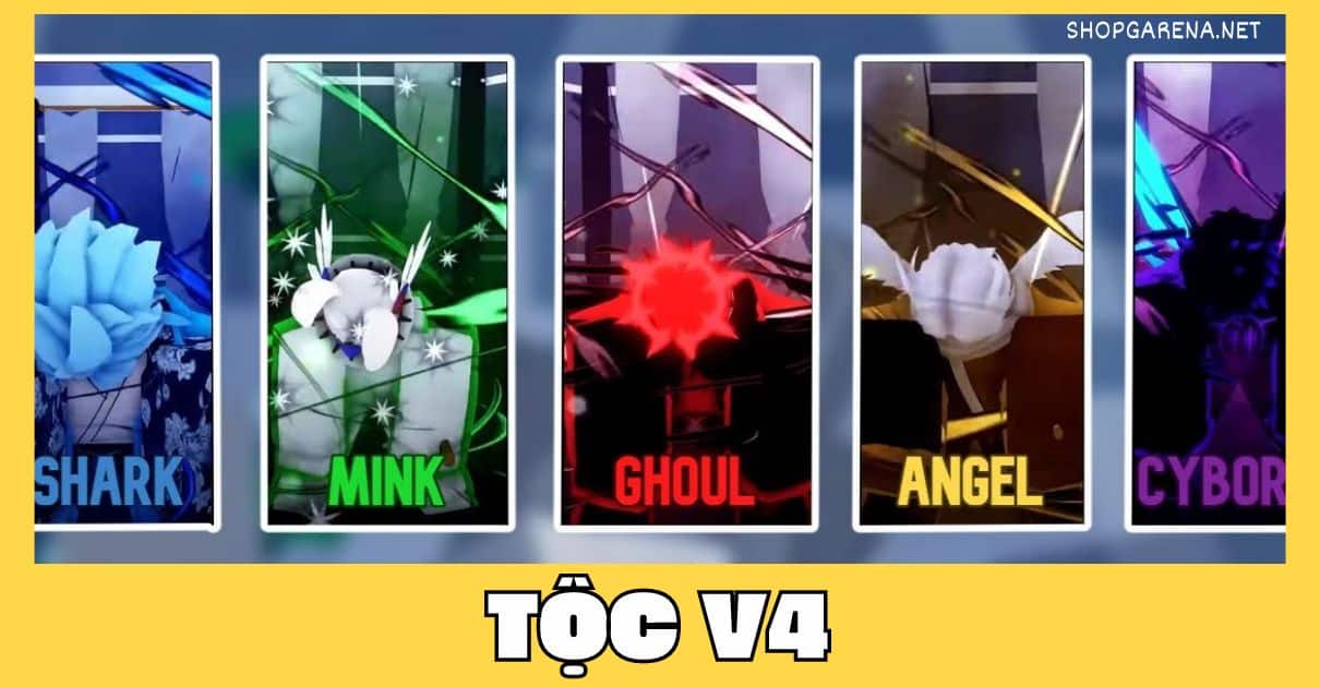 Toc V4
