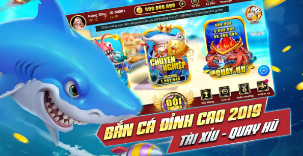 Tìm hiểu về Bancazui