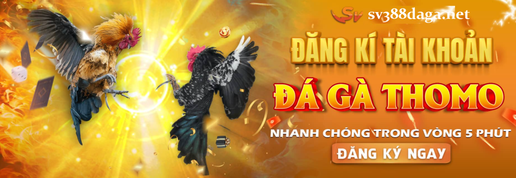 Hướng dẫn cách chơi SV388 online đơn giản Huong dan cach choi SV388 online don gian