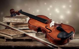 Khóa học Violin trực tuyến tốt nhất hiện nay