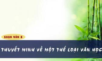 Bài văn thuyết minh về thể thơ em yêu thích nhất
