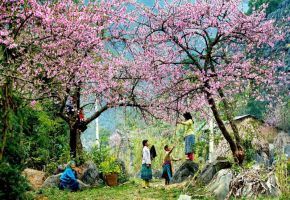 Kinh nghiệm du lịch Mai Châu hoàn hảo nhất