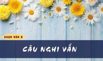 Bài soạn 