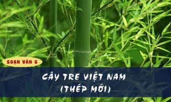 Bài soạn 