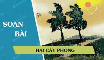 Bài soạn 