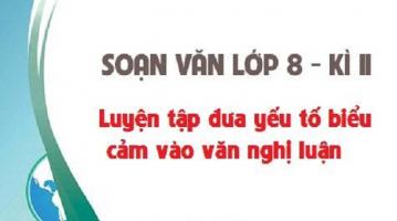Bài soạn 