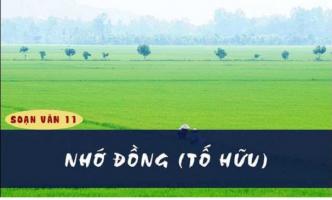 Bài soạn 