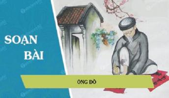 Bài soạn 