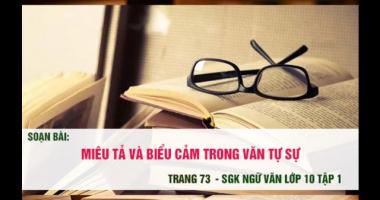 Bài soạn Miêu tả và biểu cảm trong bài văn tự sự (Ngữ Văn 10) hay nhất