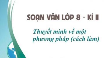Bài soạn 