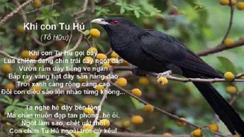 Bài văn cảm nhận 6 câu thơ đầu bài 