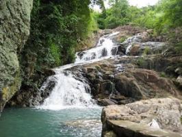 Bài văn phân tích Tâm hồn của Nguyễn Trãi trong bài thơ “Côn Sơn ca” (Ngữ văn 7) hay nhất