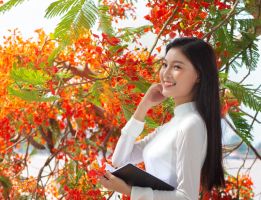 Bài thơ hay viết về hoa phượng