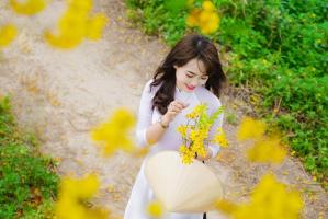Bài thơ viết về hoa điệp vàng hay nhất
