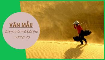 Bài văn cảm nhận về bài thơ 