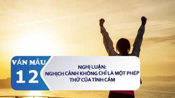 Bài văn nghị luận về 