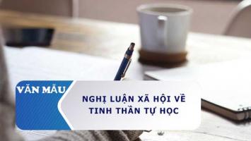 Bài văn nghị luận về tinh thần tự học lớp 9 hay nhất