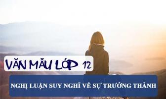 Bài văn nghị luận xã hội về sự trưởng thành (lớp 12) hay nhất