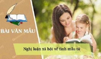 Bài văn nghị luận xã hội về tình mẫu tử hay nhất