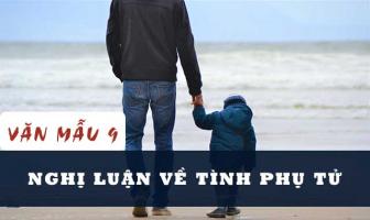 Bài văn nghị luận xã hội về tình phụ tử (lớp 9) hay nhất