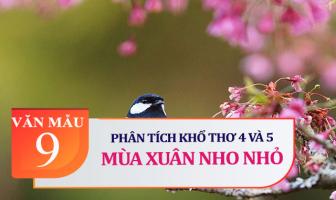 Bài văn phân tích khổ thơ 4 và 5 bài 