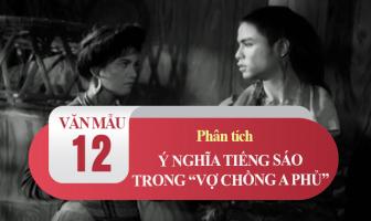 Bài văn phân tích ý nghĩa chi tiết tiếng sáo trong 
