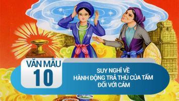 Bài văn suy nghĩ về hành động trả thù của Tấm đối với Cám (lớp 10) hay nhất
