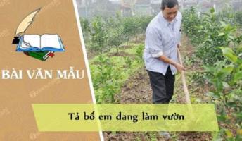 Bài văn tả bố đang làm vườn (lớp 5) hay nhất