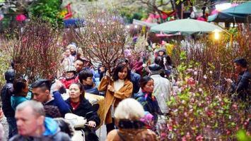 Bài văn tả cảnh chợ hoa ngày Tết quê em hay nhất