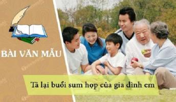 Bài văn tả cảnh sum họp của gia đình em vào buổi tối hay nhất