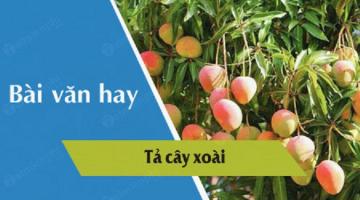 Bài văn tả cây xoài (lớp 4) hay nhất