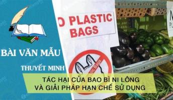 Bài văn thuyết minh về tác hại của bao bì ni lông hay nhất