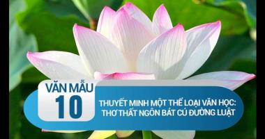 Bài văn thuyết minh về thể thơ 
