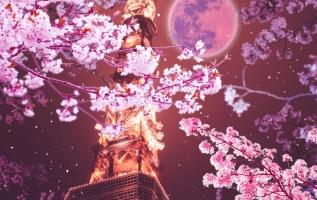 Bộ phim Nhật Bản hay nhất thế kỷ 21