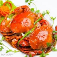 Cách chọn cua biển ngon chính xác nhất