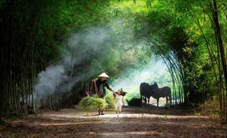 Cảnh vật chỉ thấy ở nông thôn
