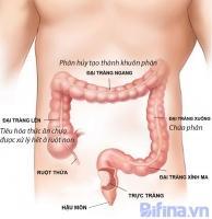 Cách chữa bệnh viêm đại tràng theo dân gian hay nhất