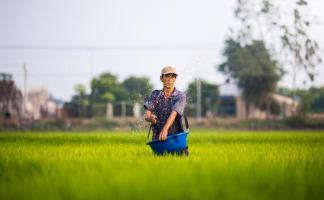 Doanh nghiệp lớn nhất tỉnh Đồng Tháp