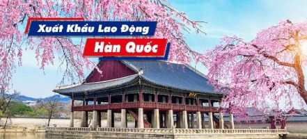Công ty xuất khẩu lao động Hàn Quốc uy tín nhất ở TP.HCM