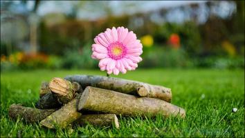 Cuốn sách viết về phong cách sống của người Nhật hay nhất