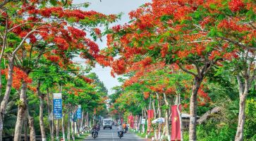 Dẫn chứng về tình yêu quê hương đất nước hay nhất