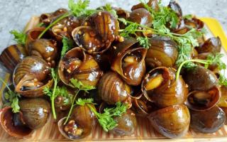 Địa chỉ ăn ốc đông khách bậc nhất tại Vĩnh Phúc