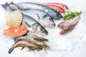 Địa chỉ cung cấp thực phẩm đông lạnh chất lượng nhất tỉnh Nghệ An