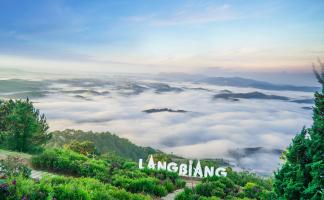 Địa điểm chụp ảnh check in “sống ảo” đẹp nhất Đà Lạt