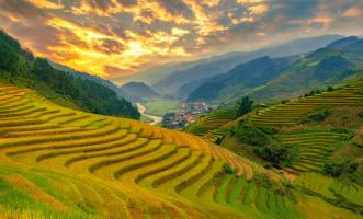 Địa điểm ngắm đồng lúa chín tuyệt đẹp